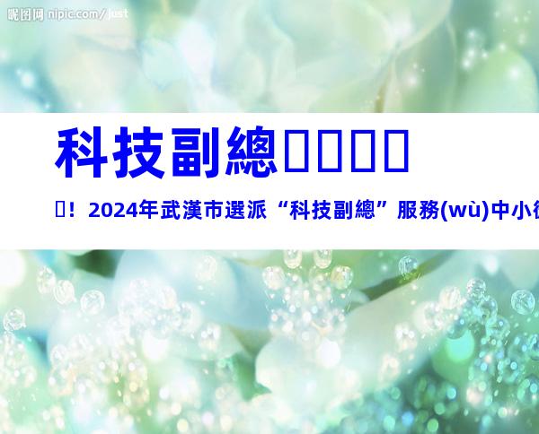 科技副總！2024年武漢市選派“科技副總”服務(wù)中小微企業(yè)申報條件、選派程序